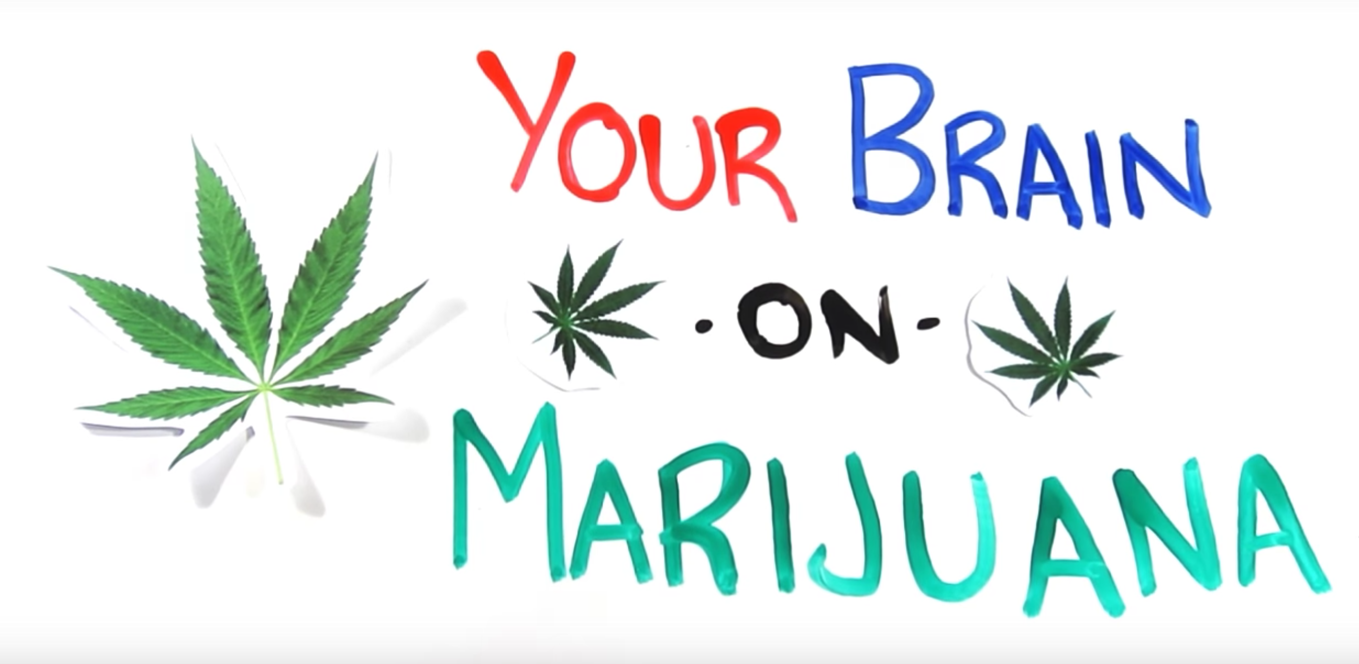 your brain on marijuana